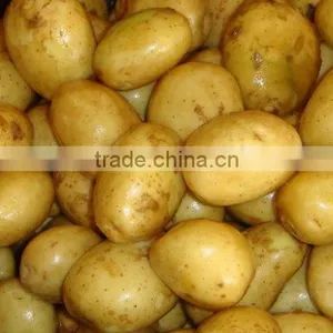 Sweet Potato From Pakistan thumbnail-1