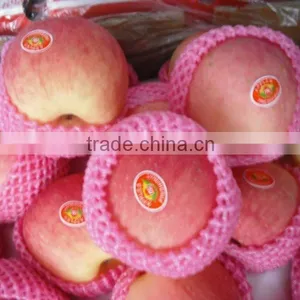 Red Fuji Apple Latest Crop thumbnail-1