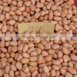 New Peanut Kernel Will be on the Market in the End of Sep. thumbnail-1