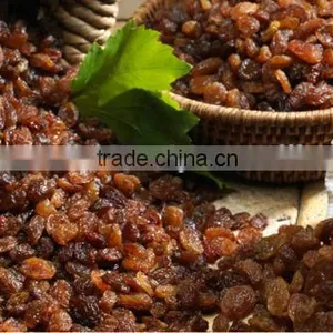 DRY INDUSTRIAL RAISIN FROM INDIA thumbnail-2