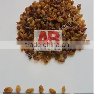 Black Raisins Good Quality /Dried Raisins From India / Best Quality thumbnail-5