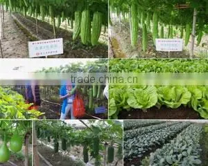 Guangdong Helinong Seeds Co., Ltd. company overview - view 1 thumbnail