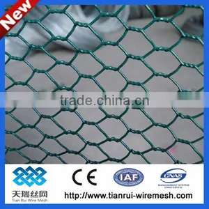 Hexagonal Wire Netting/chicken Wire Mesh thumbnail-1