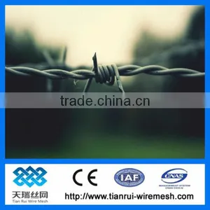 Stainless Steel Barbed Wire thumbnail-1