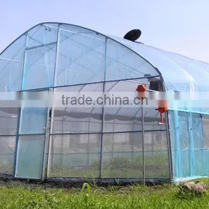 Tunnel Greenhouse thumbnail-2