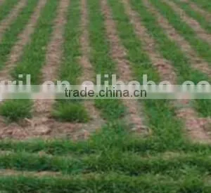 Farm Tractor Use Universal Planter, Wheater Seeder,barley Seeder Oats Seeder Sorghum Seeder Millet Seeder With Fertilizer thumbnail-6
