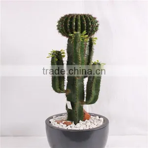 SJ3001106 Plastic Cactus Indoor Outdoor Potted Plant Tree thumbnail-1