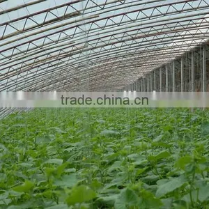 Ground Cover Fabric Grass Weed Control Mat thumbnail-4