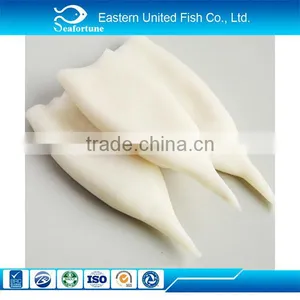 Frozen Bulk Squid Tube thumbnail-1