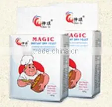 Low Sugar 20KG, 10KG, 5KG, 500G, 450G, 400G, 455G, 100G 90G, 12G, 10G Instant Bakery Dry Bread Yeast Powder thumbnail-1