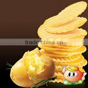 Mouthwatering Baked Potato Chips thumbnail-1
