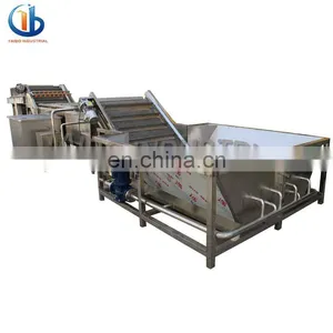 Industrial Fruit and Vegetable Washing Equipment,pear/peach/strawberry/date/grape/blackberry/lemon Bubble Washing Machine thumbnail-4