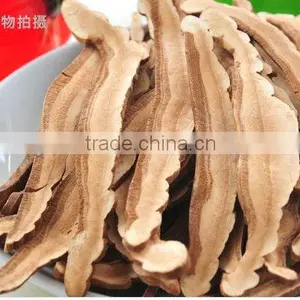 Reishi Slice,Ganoderma Lucidum thumbnail-1