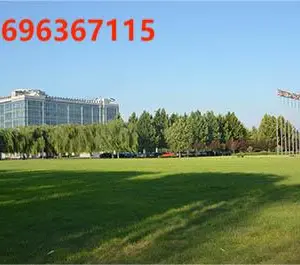 Shandong Qingneng Steam Turbine CO.,Ltd. company overview - view 1 thumbnail
