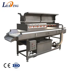 Multifunctional Automatic Vegetables and Fruit Washing Machine Commercial Tomato Apple Mango Washing Cleaning Machine Plant thumbnail-2