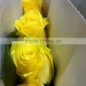 Top Quality Most Popular Gold Plated Gift Rose thumbnail-2