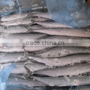 Seafrozen Pacific Saury wr thumbnail-3