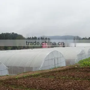Roll Film Ventilation Plastic Tunnel Greenhouse thumbnail-2