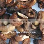 Cashews Processing Machine/SORTING MACHINE thumbnail-3