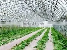 Greenhouse Plastic Roll Film thumbnail-1