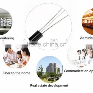 2 Core Ftth Drop Cable G657a FRP LSZH thumbnail-6