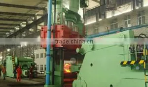Qingdao Wangbaoqiang Industry Co., Ltd. company overview - view 3 thumbnail