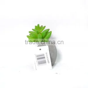 Mixed Green Artificial Succulent Plant In Tiny Pot thumbnail-1