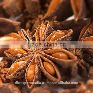 Anise Oil / Star Anise Oil thumbnail-1