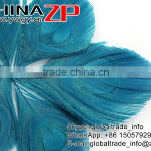 Leading Supplier CHINAZP Wholesale Wonderful Good Dyed Turquoise Trimmed Peacock Feathers Eyes for Earrings thumbnail-3