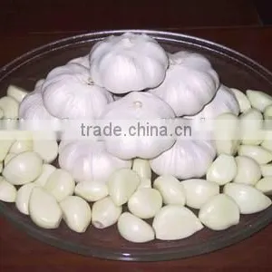 Dehydration Garlic Flake Without Root thumbnail-1