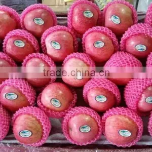 Qinguan Apples/Fresh Qinguan Apples/Delicious Qinguan Apples thumbnail-2