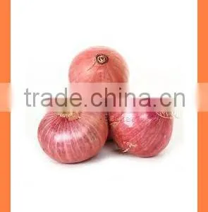 Fresh New Crop Onion PRODUCTS From China thumbnail-2
