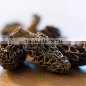 Organic Morels Conica Mushroom Dried Morel thumbnail-4