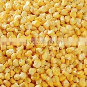 FD Freeze Dried Dehydrated Sweet Corn thumbnail-3