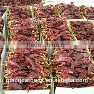 Chinese Premium Quality Water-washed Carton Package Paprika thumbnail-1