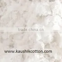 Raw Cotton Sellers thumbnail-1