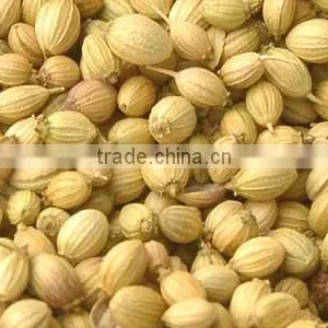 Coriander Seeds thumbnail-1