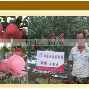 70% Granule Organic Fertilizer Plant Source thumbnail-6