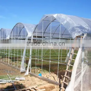 Cheap Metal Benches Greenhouse thumbnail-1