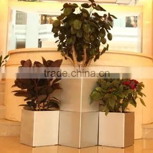 New Design Self-watering PP Container Gardening thumbnail-1