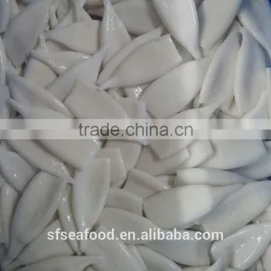 Squid Tube of Peru Giant Squid thumbnail-4