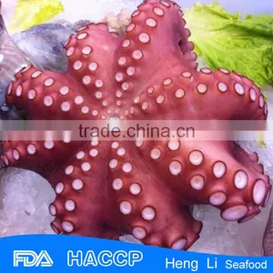 HL089 Whole Frozen Octopus Cooked thumbnail-1