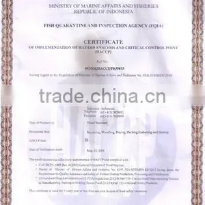 Sell Gracilaria Seaweeds thumbnail-5