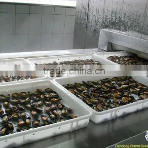 Frozen Seafood Half Shell Blue Mussel thumbnail-1