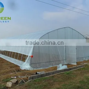 Durable PE Film Covering Single Tunnel Greenhouse for Sale thumbnail-1