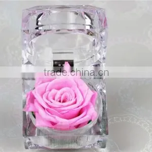 Wholesale Preserved Fresh Rose Flower With Reasonable Price for 3-5 Years thumbnail-6
