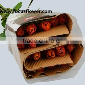 Newest Fresh Cut Flowers Colombia Kunming Flower Exporter Golden Rose With 22stems/bundle thumbnail-5