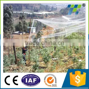 Virgin HDPE Material Larger Fruit Tree Use Complete Overhead Anti Bird Netting With UV Protection thumbnail-1