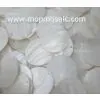 White Freshwater Mother of Pearl Shell Tiles/White Shell Chandelier thumbnail-1