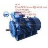 YB400-450 Series High-voltage Explosion Proof Three-phase Asynchronous Motor thumbnail-1